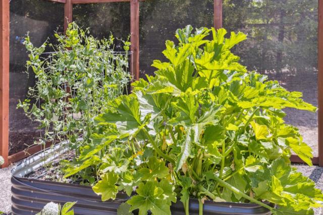 23583 Summit Road, Los Gatos CA: https://media.crmls.org/mediaz/9eaed015-d10d-4fea-8f38-081a45b2e7d1.jpg