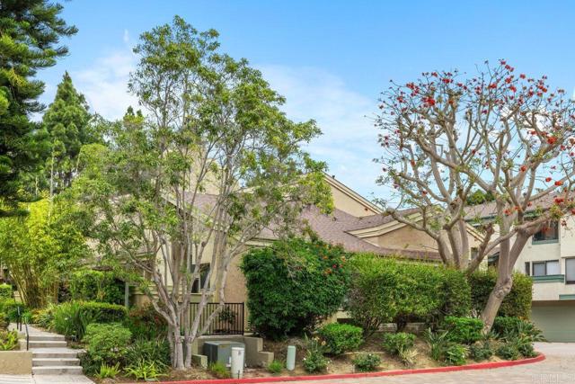 3330 Caminito Eastbluff, La Jolla CA: https://media.crmls.org/mediaz/9ecc3343-925c-4ca0-b234-b441e6bb0798.jpg