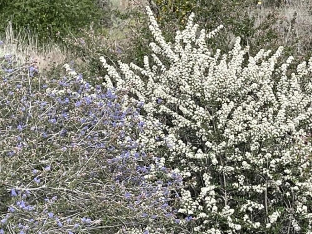 MLS #NDP2410587 image #14