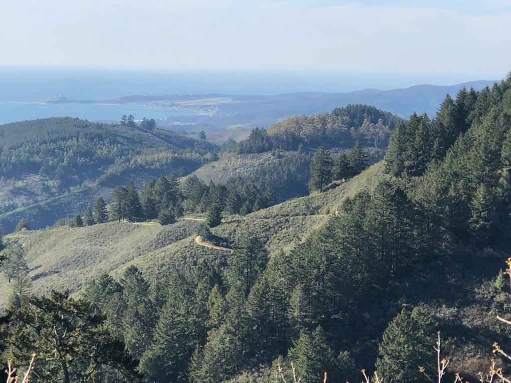 MLS #ML81979482 image #29