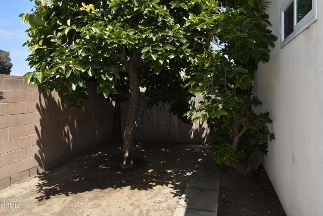 1101 Novato Drive, Oxnard CA: https://media.crmls.org/mediaz/9eda5ce0-fbaa-4e7f-a2a8-19974d274a48.jpg