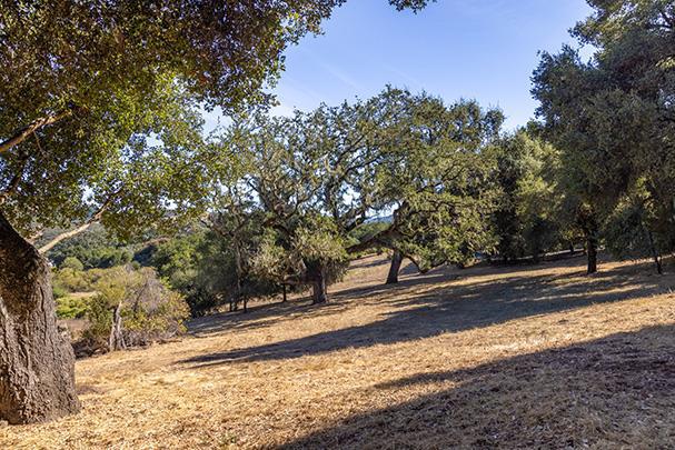 3 Via Vaquera, Carmel CA: https://media.crmls.org/mediaz/9ee0f515-b226-4a28-b0f2-c59245ae0810.jpg