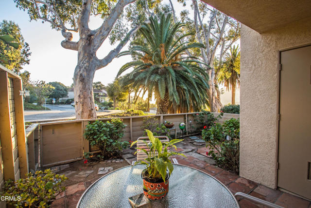 Back Patio from Living Room Slider