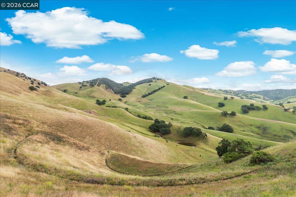 https://media.crmls.org/mediaz/9eea5775-7030-4f39-89a7-9030e8b36f7c.jpg?preset=X-Large