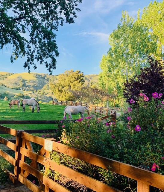 3970 Leavesley Road, Gilroy CA: https://media.crmls.org/mediaz/9eec3e2f-8a94-4b06-b299-b3fe18549cd4.jpg