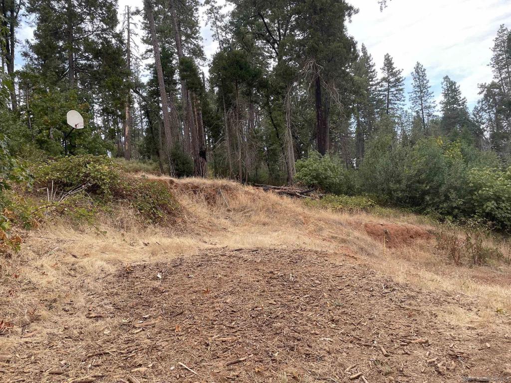 MLS #250037729SD image #8