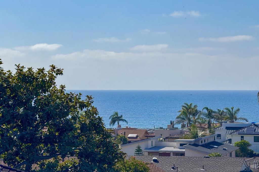 MLS #250041429SD image #40