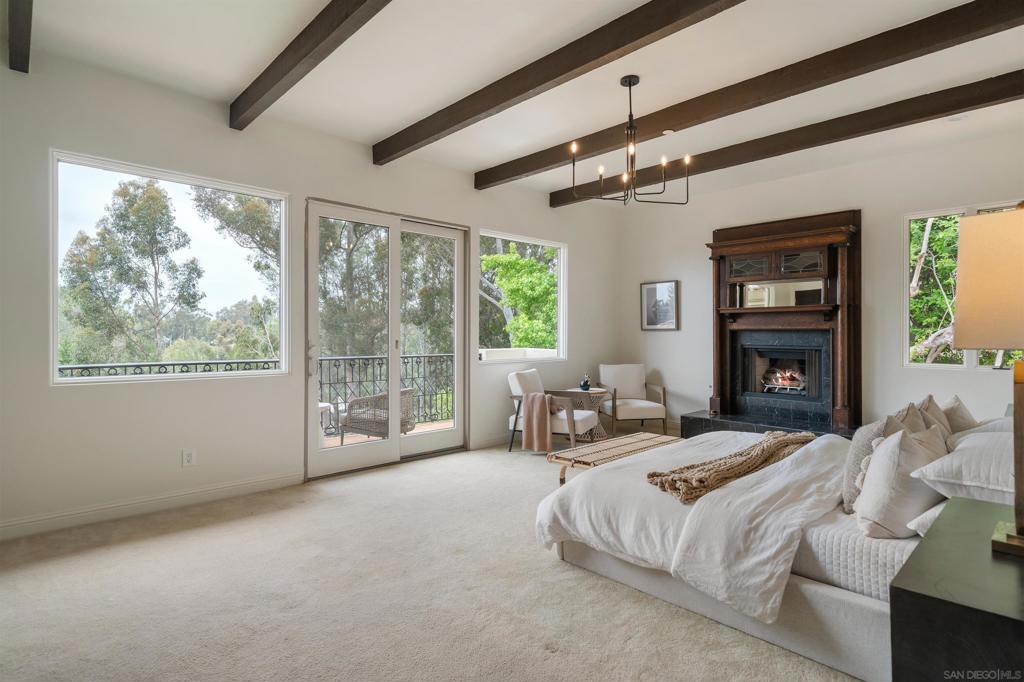 MLS #250028767SD img 34