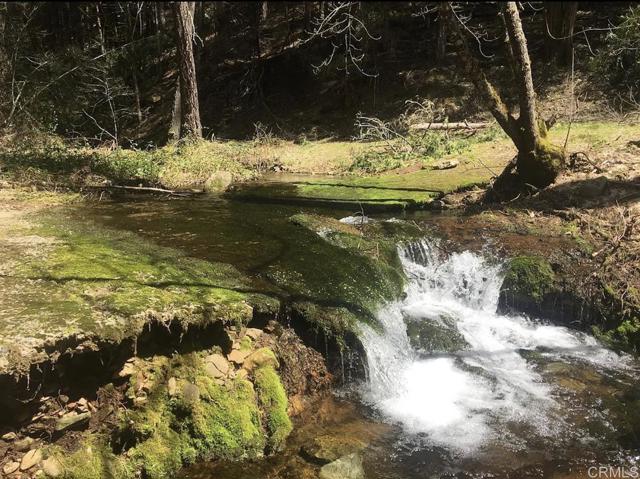 Front Image Thumbnail for CRPTP2600819