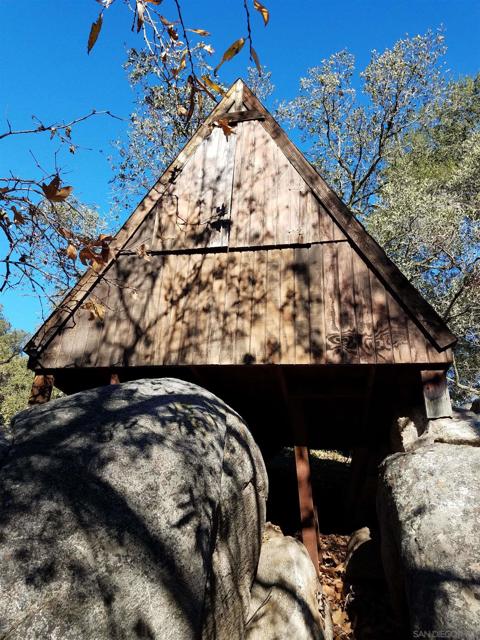 Tree House across the creek