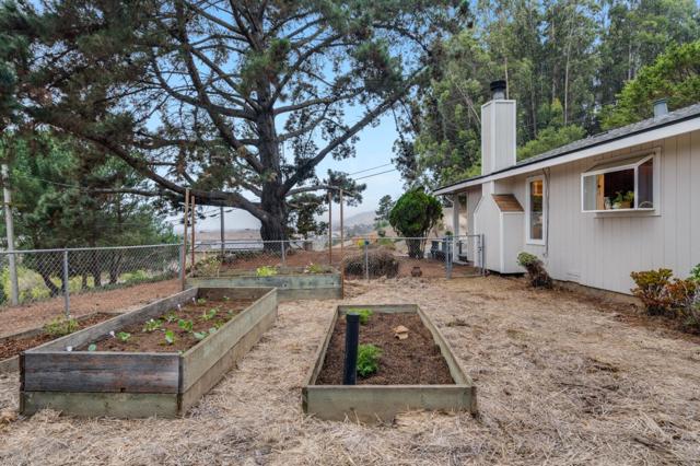 Image 16 of 20 For 81 Pine Tree Avenue