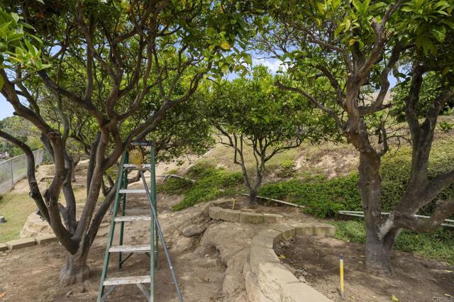 Detail Gallery Image 63 of 75 For 6301 Castejon Dr, La Jolla,  CA 92037 - 4 Beds | 3 Baths