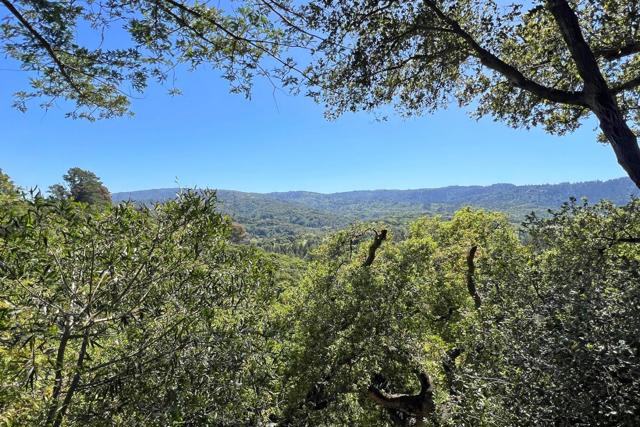 25 Toro Court, Portola Valley CA: https://media.crmls.org/mediaz/9f2ea45e-46d5-4760-86d2-9ca1a8957fb9.jpg