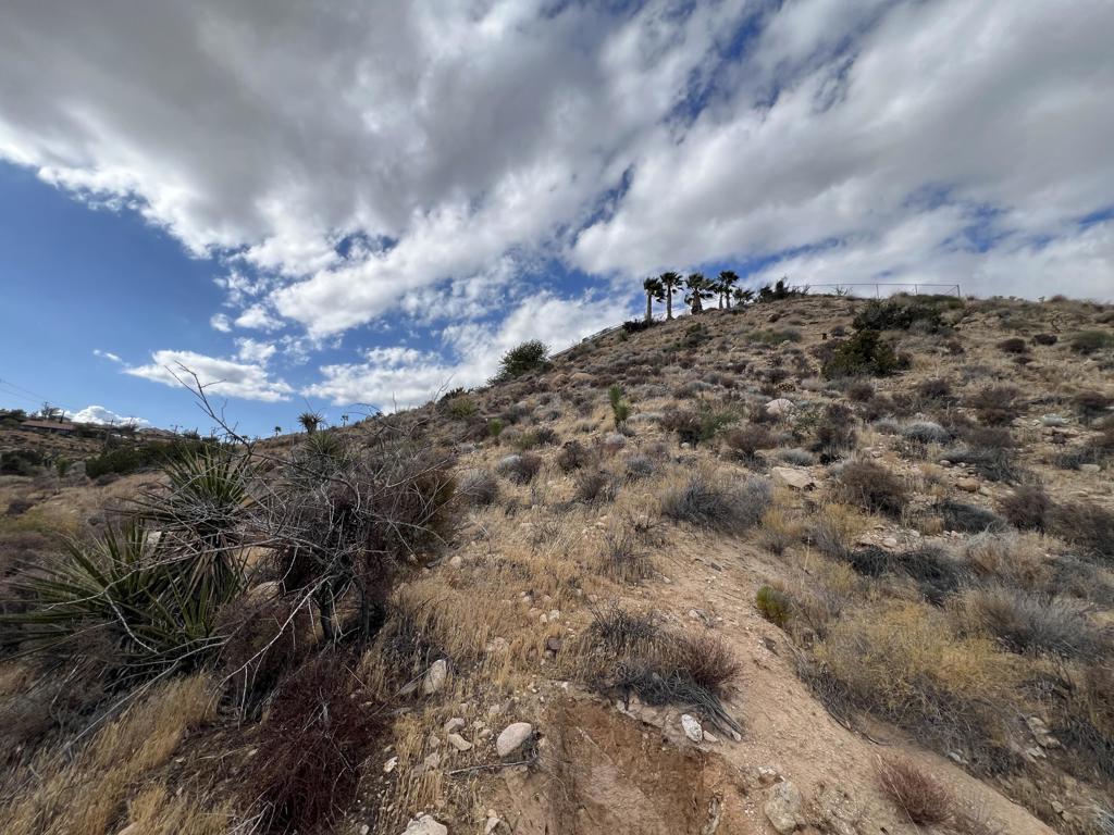 MLS #219138996DA image #14