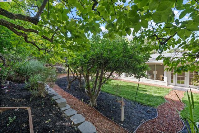 2371 Mallard Dr, Walnut Creek CA: https://media.crmls.org/mediaz/9f32d47a-0548-4a2f-87b4-6440c40d8a72.jpg