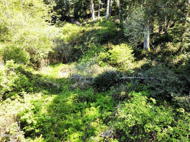 Detail Gallery Image 5 of 23 For 44551 Raven Ln, Mendocino,  CA 95460 - – Beds | – Baths