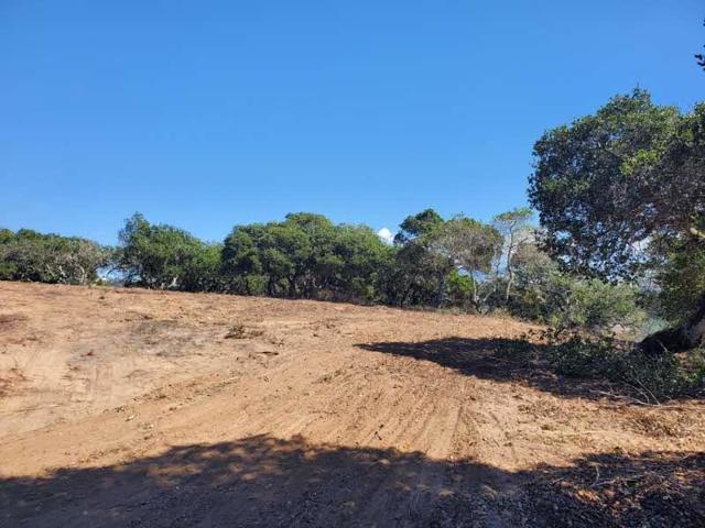 19705 Moonglow Road, Salinas CA: https://media.crmls.org/mediaz/9f39fb88-4491-42f2-825f-19538e43a7bf.jpg