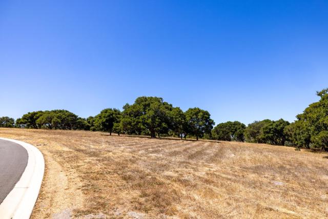 8160 Manjares, Monterey CA: https://media.crmls.org/mediaz/9f47c46e-c92c-44e4-8e65-953bddd1bc5e.jpg
