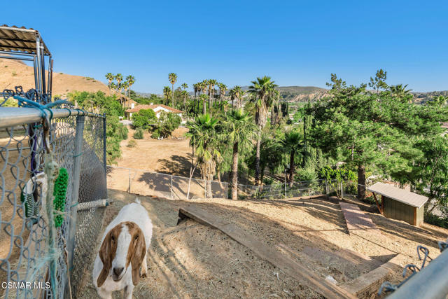 11270 Dominica Avenue, Lakeview Terrace CA: https://media.crmls.org/mediaz/9f500ec2-bf17-4485-bd08-7af555494cde.jpg