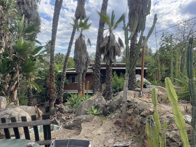 Front Image Thumbnail for CRNDP2510220