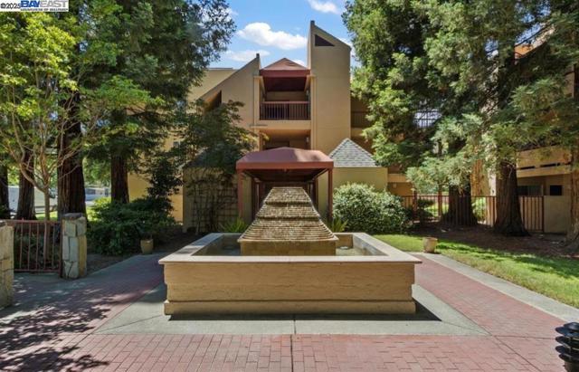 1310 Walden Rd, Walnut Creek CA: https://media.crmls.org/mediaz/9f5a060c-3912-48a7-97d3-4ffd4b4b6ec7.jpg