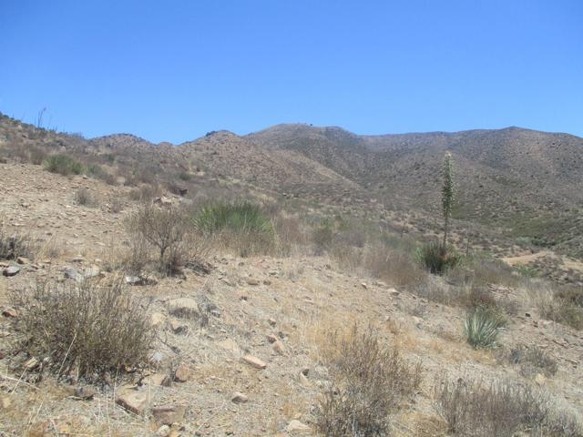 28 Hughes Canyon, Acton CA: https://media.crmls.org/mediaz/9f5be2d3-4136-4d93-8fa7-ad5bda7c3d77.jpg