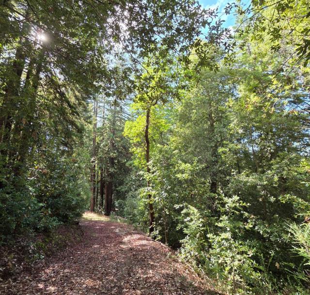 1140 Warren Drive, Santa Cruz CA: https://media.crmls.org/mediaz/9f61341e-9564-465f-b89c-5b3d0a8e50cf.jpg