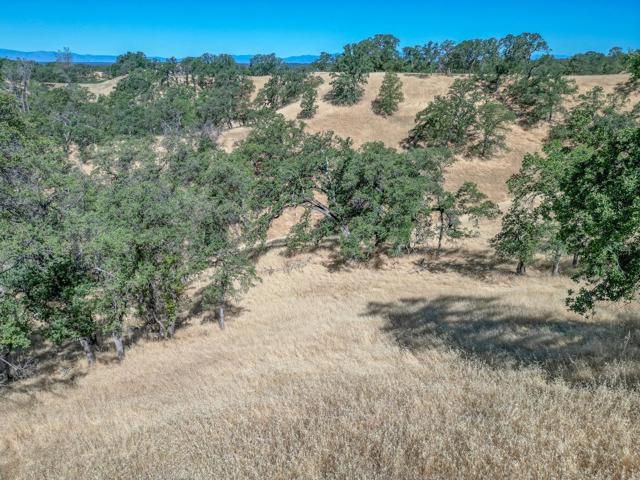 0 Wood Duck Pass Road, Red Bluff CA: https://media.crmls.org/mediaz/9f625ac8-89f2-4689-ab82-c9cc18837e5e.jpg