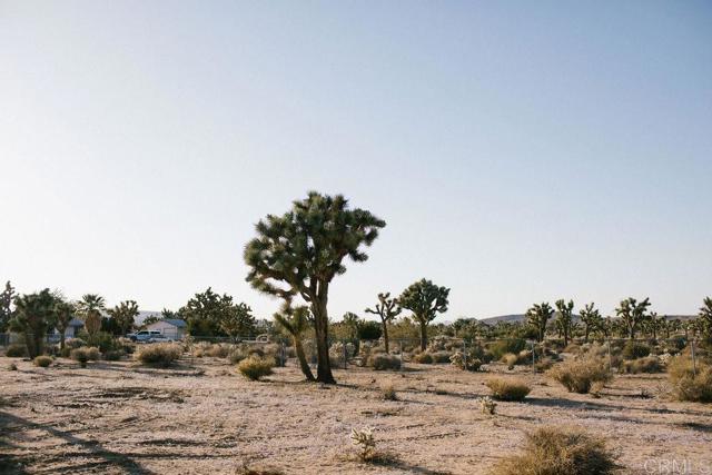 Detail Gallery Image 9 of 22 For 57222 Hillcrest Dr, Yucca Valley,  CA 92284 - 2 Beds | 1 Baths