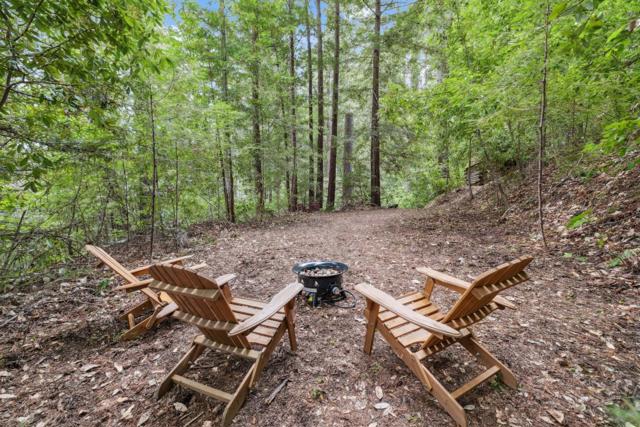 1365 Caledonia Avenue, Ben Lomond CA: https://media.crmls.org/mediaz/9f665a8a-8516-4c43-8ed7-6b24d4f57c65.jpg