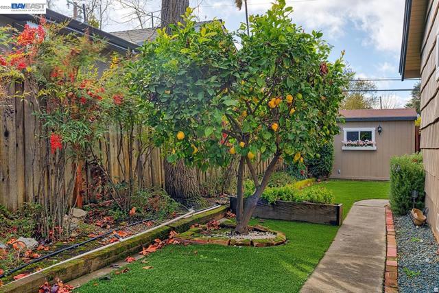 1515 Miramonte Ave, Mountain View CA: https://media.crmls.org/mediaz/9f6a891b-907a-4af3-8434-2590bfba5bdd.jpg