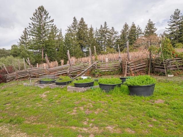 MLS #ML81951883 image #86