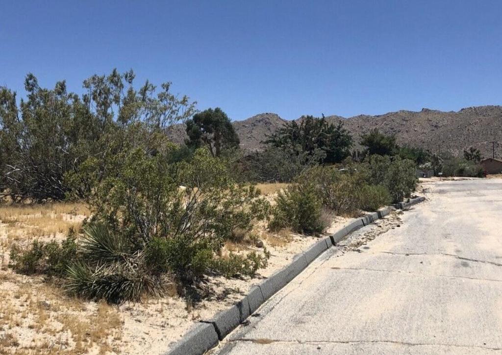 MLS #219139119PS image #3