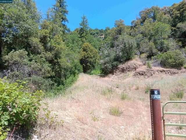 55855 Highway 101, Laytonville CA: https://media.crmls.org/mediaz/9f8c1e58-4f5a-423b-8529-5f84a7c6e9ee.jpg