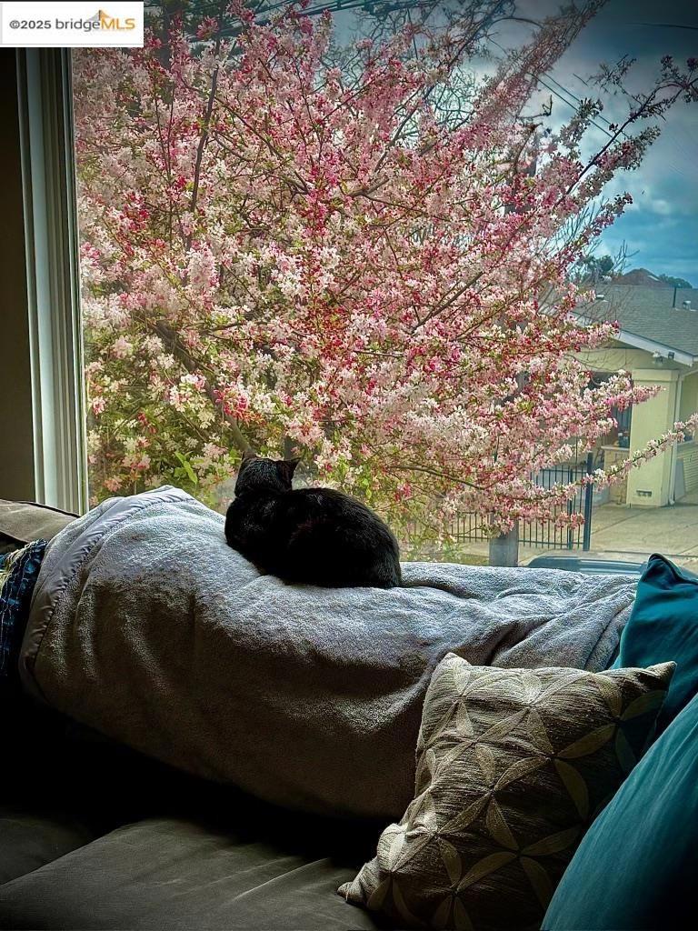 https://media.crmls.org/mediaz/9f8f061d-9c86-490d-84b7-992930bf1994.jpg?preset=X-Large