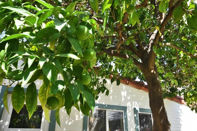 80 Hobson Street, San Jose CA: https://media.crmls.org/mediaz/9f93a885-a0f4-4e3c-b374-6497dc9c13fc.jpg