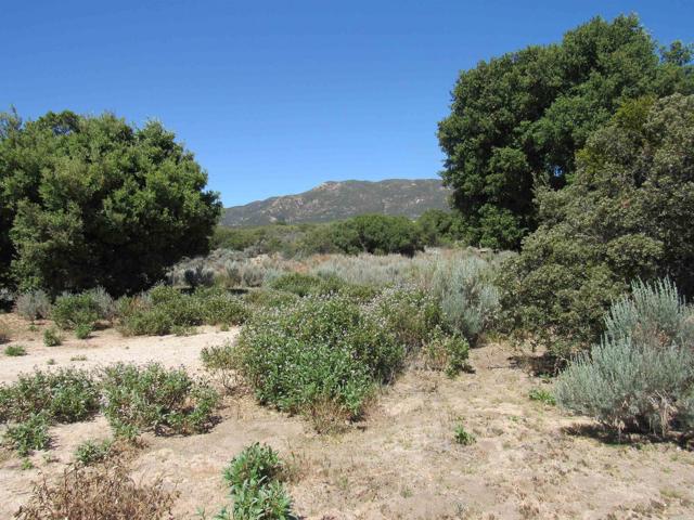 Detail Gallery Image 16 of 47 For 200 Acres Mccain Valley Rd, Boulevard,  CA 91905 - – Beds | – Baths