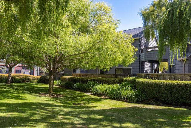 919 Shoreline Drive, San Mateo CA: https://media.crmls.org/mediaz/9fabe4a1-c61f-4fe7-a831-c60b911af0f0.jpg