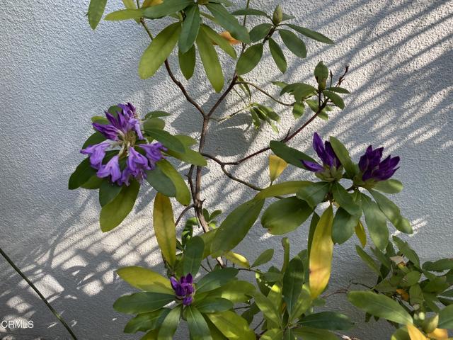 Detail Gallery Image 39 of 46 For 378 Grand Ave, Monrovia,  CA 91016 - 4 Beds | 2/1 Baths