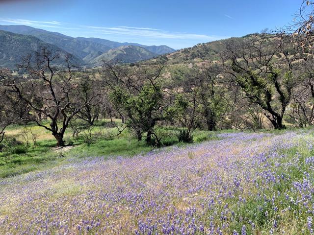 0 Cachagua, Carmel Valley CA: https://media.crmls.org/mediaz/9fce62ed-706c-4184-b80e-948992787abb.jpg