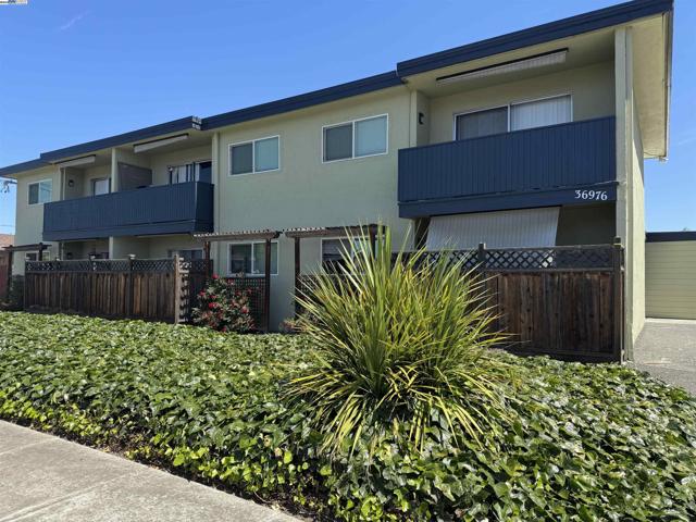 36976 Mulberry St, Newark CA: https://media.crmls.org/mediaz/9fda86b1-c385-4f77-b53e-775c784e447a.jpg