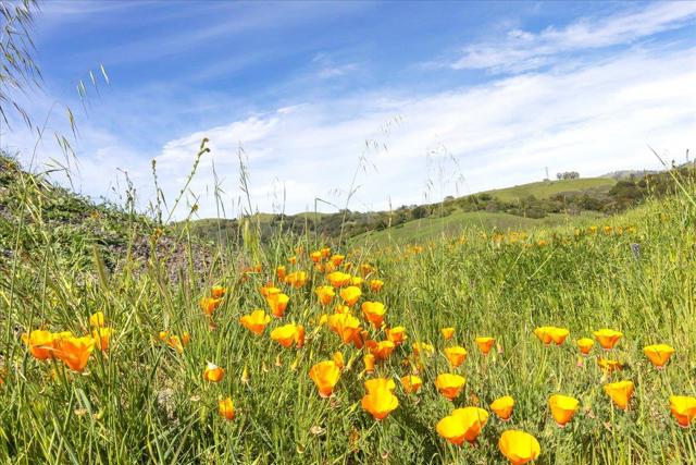 Image 4 of 42 For 0 Mt Hamilton
