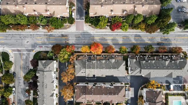 557 Montego Terrace, Sunnyvale CA: https://media.crmls.org/mediaz/9febfd3e-ef11-4a1c-bebe-8db7cfb79056.jpg