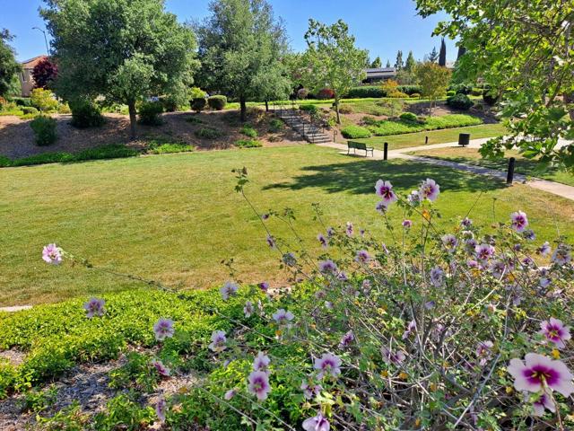 18345 Serra Avenida, Morgan Hill CA: https://media.crmls.org/mediaz/9fec326c-8487-4b1a-90c4-e6ffdbd807ab.jpg