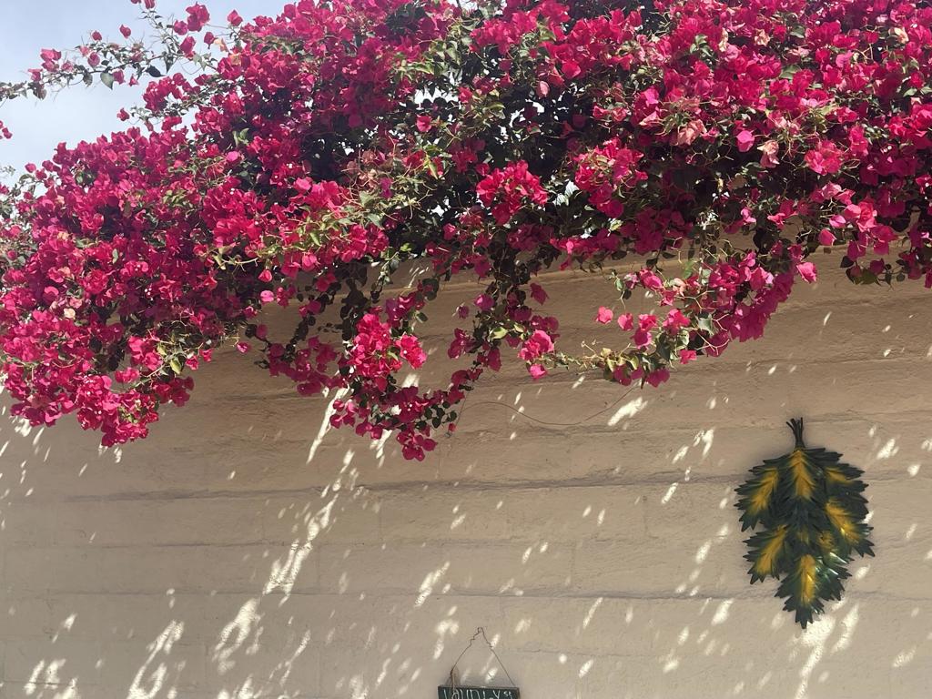 MLS #219132776DA image #8