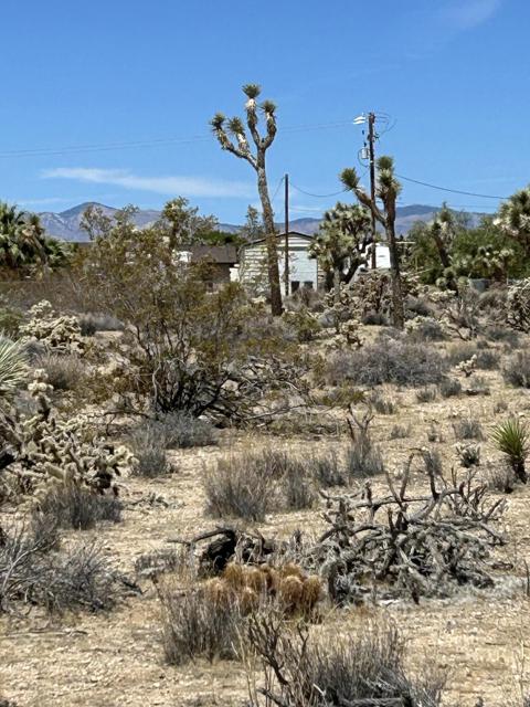 0 Sun Oro Road Road, Yucca Valley CA: https://media.crmls.org/mediaz/9ff884ee-7e0c-4d18-b256-1631068d8b1e.jpg