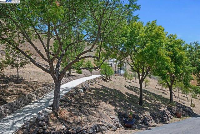 325 Bollinger Estates Ct, San Ramon CA: https://media.crmls.org/mediaz/9ff8b6e2-aa60-4c72-8f27-976adbd548e1.jpg