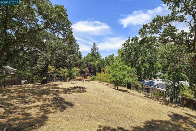 71 Maple Ln, Walnut Creek CA: https://media.crmls.org/mediaz/9ffb87df-20e5-4ba7-baa3-5731ce7d3b26.jpg