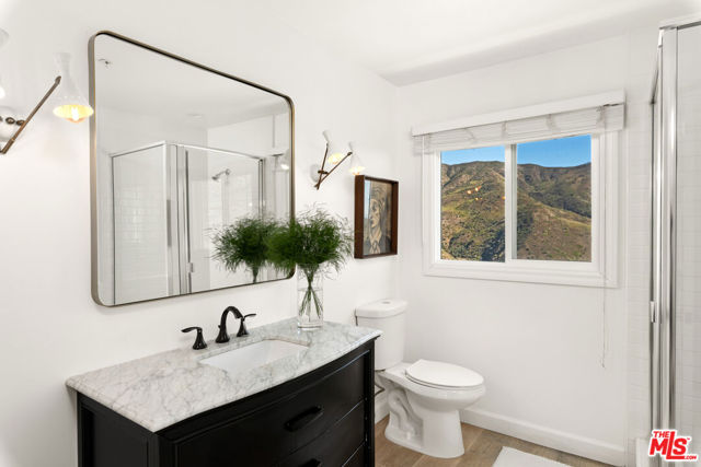 6007 Trancas Canyon Road, Malibu, California 90265, 4 Bedrooms Bedrooms, ,3 BathroomsBathrooms,Single Family Residence,For Sale,Trancas Canyon,23334211