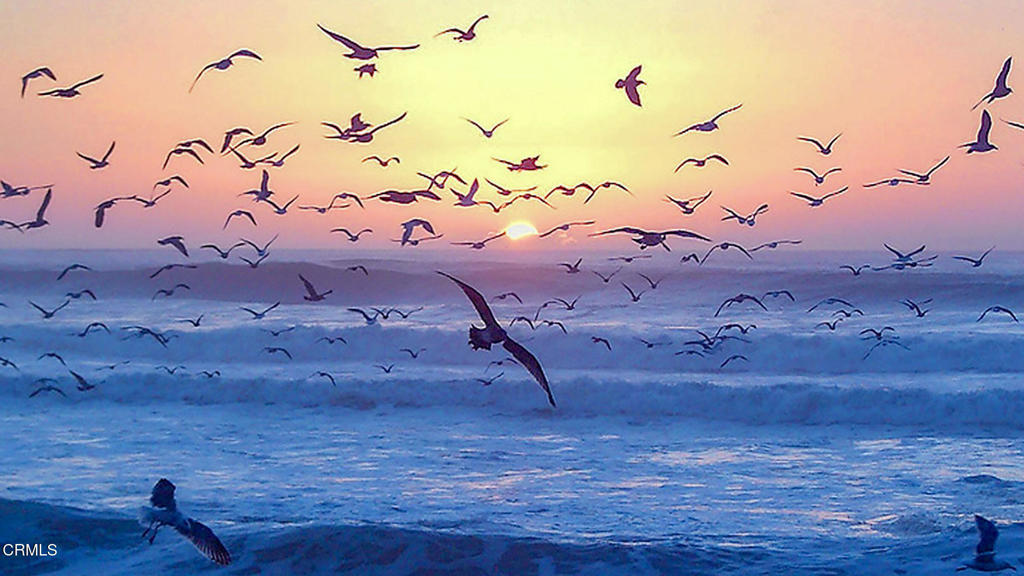 https://media.crmls.org/mediaz/9fff9eb5-4e1b-4e88-96c2-c22ddb7323d6.jpg?preset=X-Large